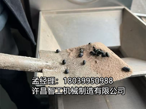 河南商丘客戶(hù)來(lái)廠(chǎng)試機(jī)，黑豆炒制大獲成功！