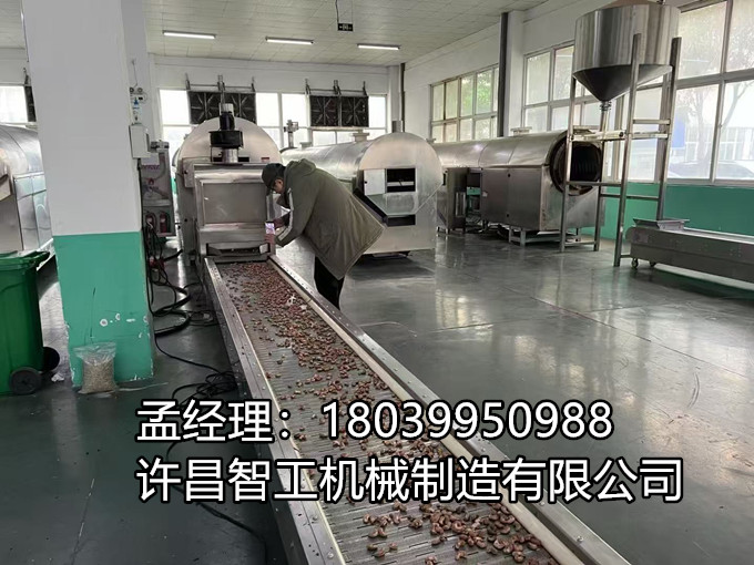 3月15日，客戶帶腰果來廠試機八米流水線炒制，時產(chǎn)1500斤